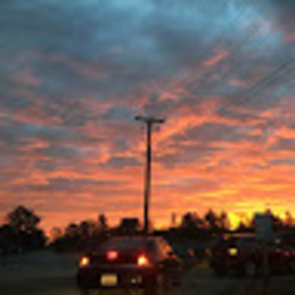 Meet your Posher, Shannon - Picture 1 of 1